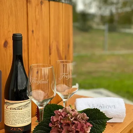 Dom Z Balia Na Kaszubach-widokova * Borucino (Kartuzy)