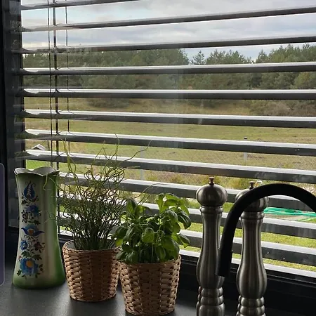 Dom Z Balia Na Kaszubach-widokova * Borucino (Kartuzy)