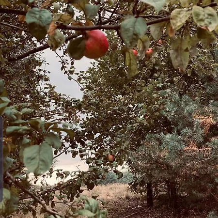 Dom Z Balia Na Kaszubach-widokova * Borucino (Kartuzy)