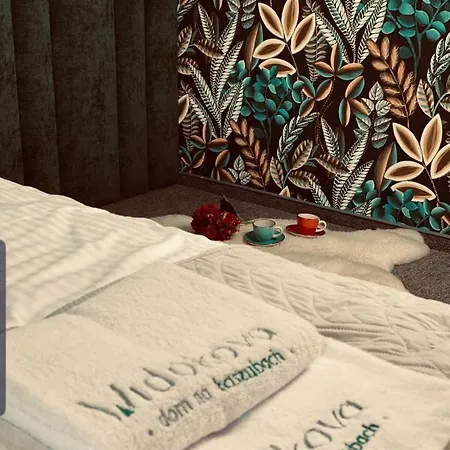 Dom Z Balia Na Kaszubach-widokova Borucino (Kartuzy)