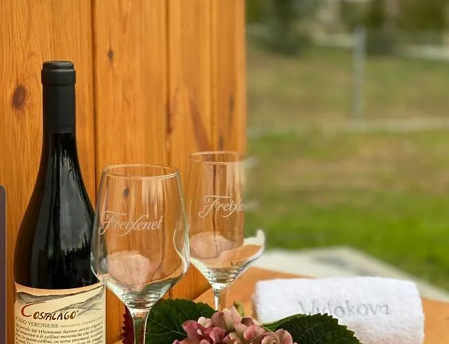 Dom Z Balia Na Kaszubach-widokova * Borucino (Kartuzy)