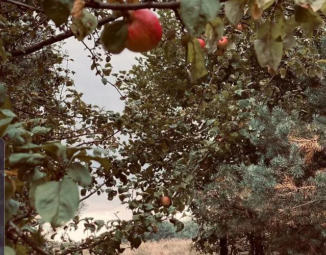 Dom Z Balia Na Kaszubach-widokova * Borucino (Kartuzy)