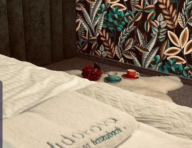 Dom Z Balia Na Kaszubach-widokova Borucino (Kartuzy)